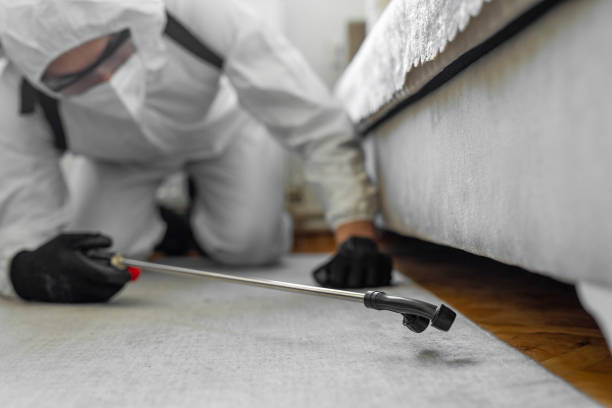 Professional Rodent Control technician working in Lake Success, NY