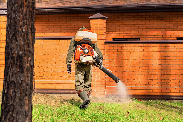Trusted Bed Bug Control service in Lake Success, NY - Nex Pest Control